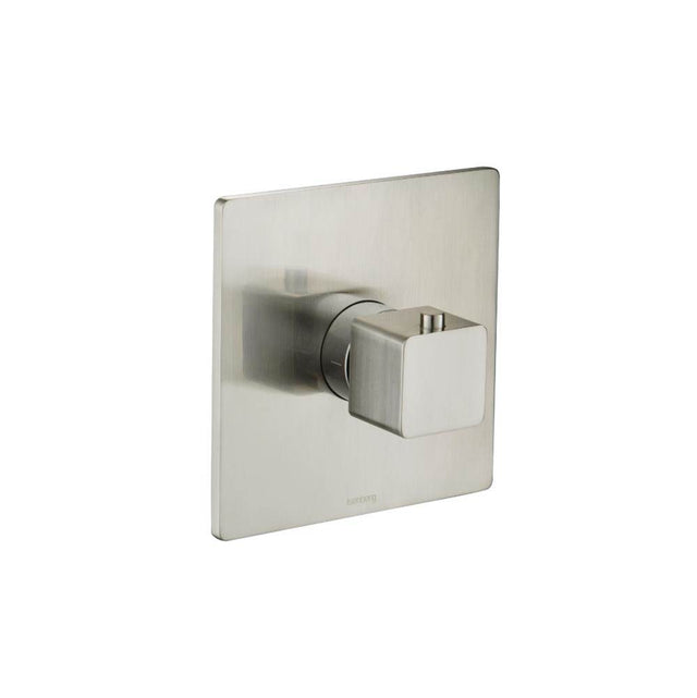 Isenberg By Flusso - Trim For 3/4'' Thermostatic Valve - Use with TVH.4201 - Brushed Nickel PVD