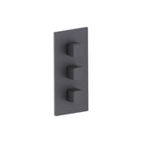 Isenberg By Flusso - 3/4'' Thermostatic Valve and Trim - 2 Outputs - Dark Grey