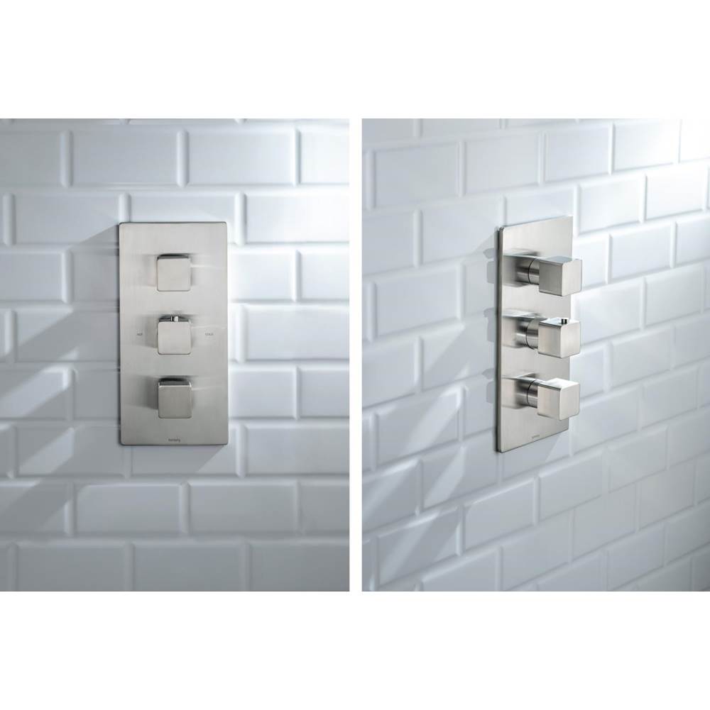 3/4'' Thermostatic Valve and Trim - 2 Outputs