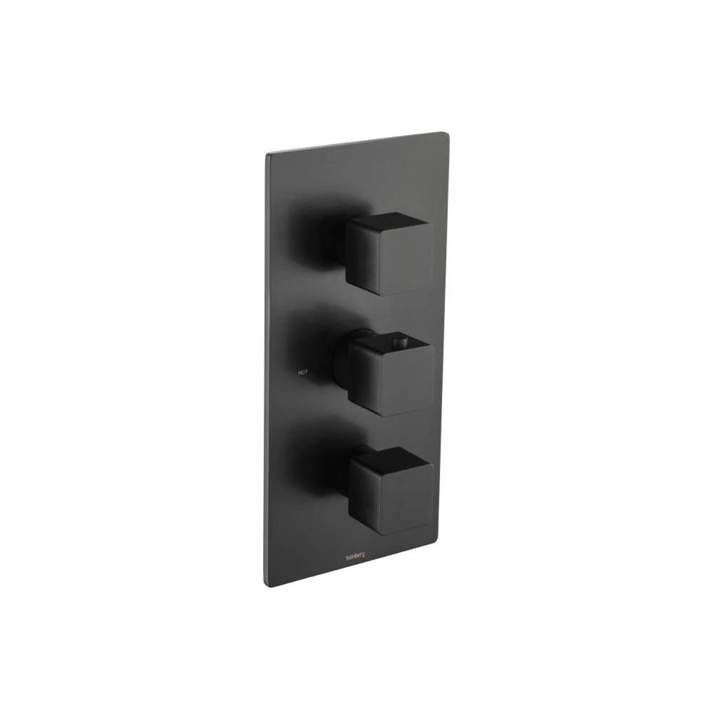 Isenberg By Flusso - Trim For Thermostatic Valve - Matte Black