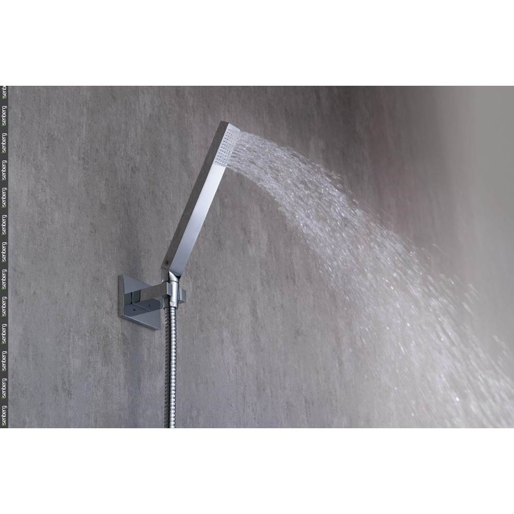 Hand Shower Set With Wall Elbow, Holder and Hose