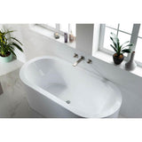Trim For Two Handle Wall Mounted Tub Filler