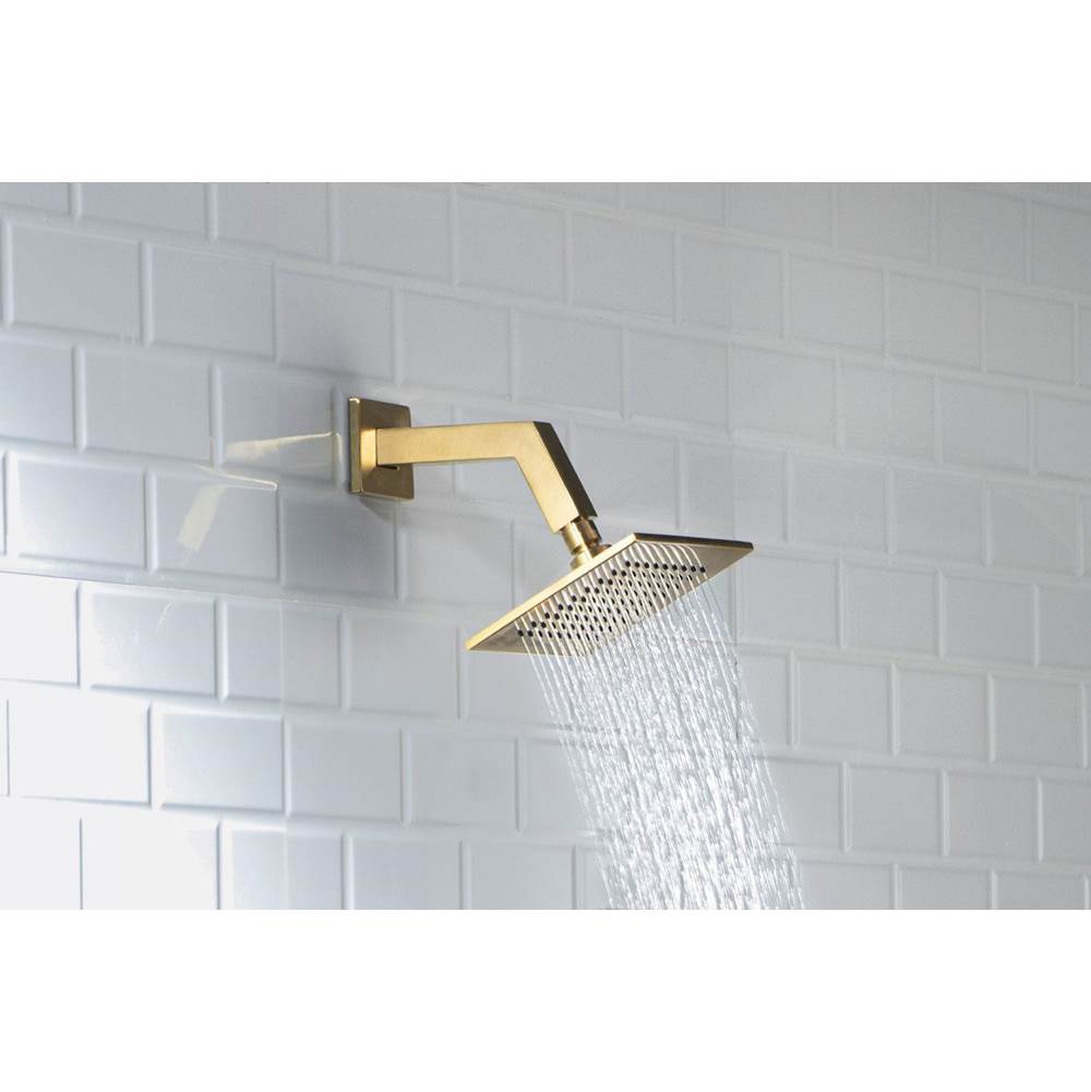 6'' Solid Brass Showerhead / Rainhead