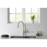 Ziel - Dual Spray Stainless Steel Kitchen Faucet With Pull Out