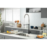 Professio - S - Dual Spray Professional Stainless Steel Kitchen Faucet With Pull Out