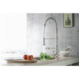 Professio - F - Professional Polished Steel Kitchen Faucet With Pull Out & Pot Filler
