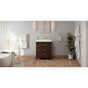 Jeffrey Alexander - Katara 30'' Single Bathroom Vanity Set - Dark Walnut