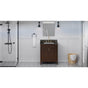 Jeffrey Alexander - Theodora 30'' Single Bathroom Vanity Set - Dark Walnut