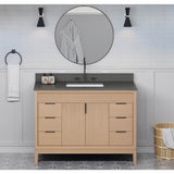 Theodora 48'' Single Bathroom Vanity Set