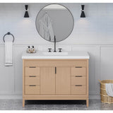 Theodora 48'' Single Bathroom Vanity Set