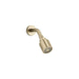 Kallista - OneE Showerhead With Arm - Brushed French Gold
