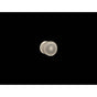 Kallista - TurnsprayE Traditional Body Spray - Brushed Bronze