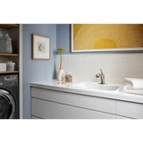 Simplice Pull-out laundry sink faucet with two-function sprayhead