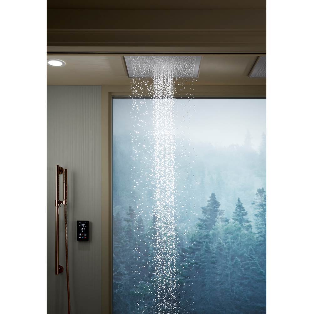 Real Rain 19'' two-function overhead shower panel, 2.5 gpm