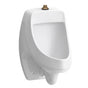 Kohler - DexterE Washout half-stall 0.125 gpf urinal, top spud - White