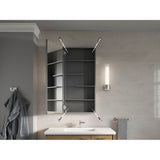 Maxstow 20'' W x 40'' H medicine cabinet
