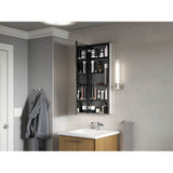 Maxstow 15'' W x 40'' H medicine cabinet