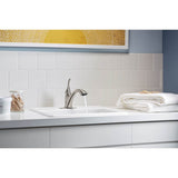 Simplice Pull-out laundry sink faucet with two-function sprayhead
