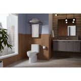 Reach One-piece compact elongated toilet with skirted trapway, 1.28 gpf