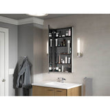 Maxstow 20'' W x 40'' H medicine cabinet