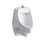 Kohler - DexterE Siphon-jet wall-mount 0.5 or 1.0 gpf urinal with top spud, antimicrobial - White