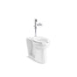 Kohler - Modflex Adjust-a-Bowl Antimicrobial toilet with Mach Tripoint touchless 1.28 gpf HES-powered flushometer