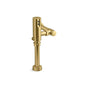 Kohler - Mach Tripoint Touchless toilet flushometer, DC-powered, 1.0 gpf - Vibrant Brushed Moderne Brass