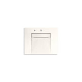 Kohler - ConstellationE 30'' wall-mount lavatory system - Arrow Root