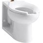 Kohler - AngleseyE Floor-mount top spud antimicrobial flushometer bowl - White