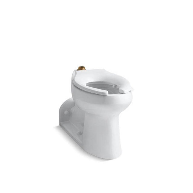 Kohler - AngleseyE Floor-mount top spud flushometer bowl with bedpan lugs - White