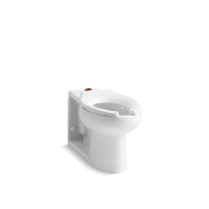 Kohler - AngleseyE Floor-mount top spud flushometer bowl with bedpan lugs - White
