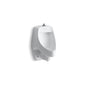 Kohler - DexterE Siphon-jet wall-mount 0.5 or 1.0 gpf urinal with top spud - White