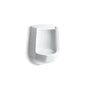 Kohler - FreshmanE Siphon-jet half-stall 1.0 gpf urinal, rear spud - White