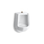 Kohler - FreshmanE Siphon-jet half-stall 1.0 gpf urinal, top spud - White