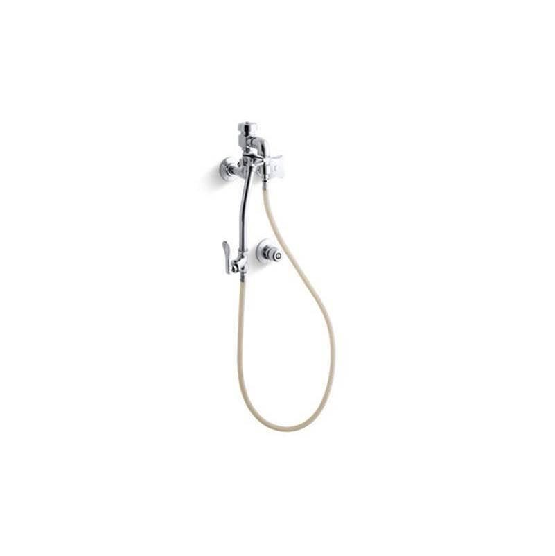 Kohler - Triton Built-in bedpan washer with washer standard sprayhead and handle - Polished Chrome