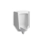 Kohler - BardonE Washout half-stall 0.1251/41.0 gpf urinal, rear spud - White