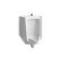 Kohler - BardonE High-Efficiency Urinal (HEU), washout, wall-hung, 0.125 gpf to 1.0 gpf, top spud - White