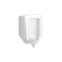 Kohler - StanwellE Blow-out half-stall 0.51/41.0 gpf urinal, rear spud - White