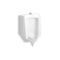 Kohler - StanwellE Blow-out half-stall 0.51/41.0 gpf urinal, top spud - White