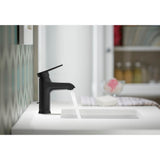 Hint Single-handle bathroom sink faucet, 1.2 gpm