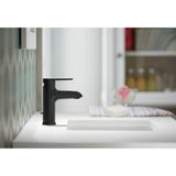 Hint Single-handle bathroom sink faucet, 1.2 gpm