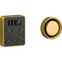 Kohler - Invigoration Series Steam generator control kit - Vibrant Brushed Moderne Brass