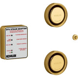 Kohler - Invigoration Series Tandem digital steam adapter kit - Vibrant Brushed Moderne Brass