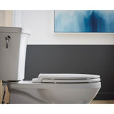 Border ReadyLatch Quiet-CloseE elongated toilet seat with antimicrobial agent