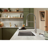 Tone Semi-professional pull-down kitchen sink faucet with three-function sprayhead