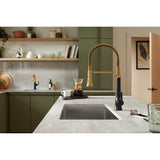 Tone Semi-professional pull-down kitchen sink faucet with three-function sprayhead