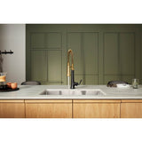 Tone Semi-professional pull-down kitchen sink faucet with three-function sprayhead