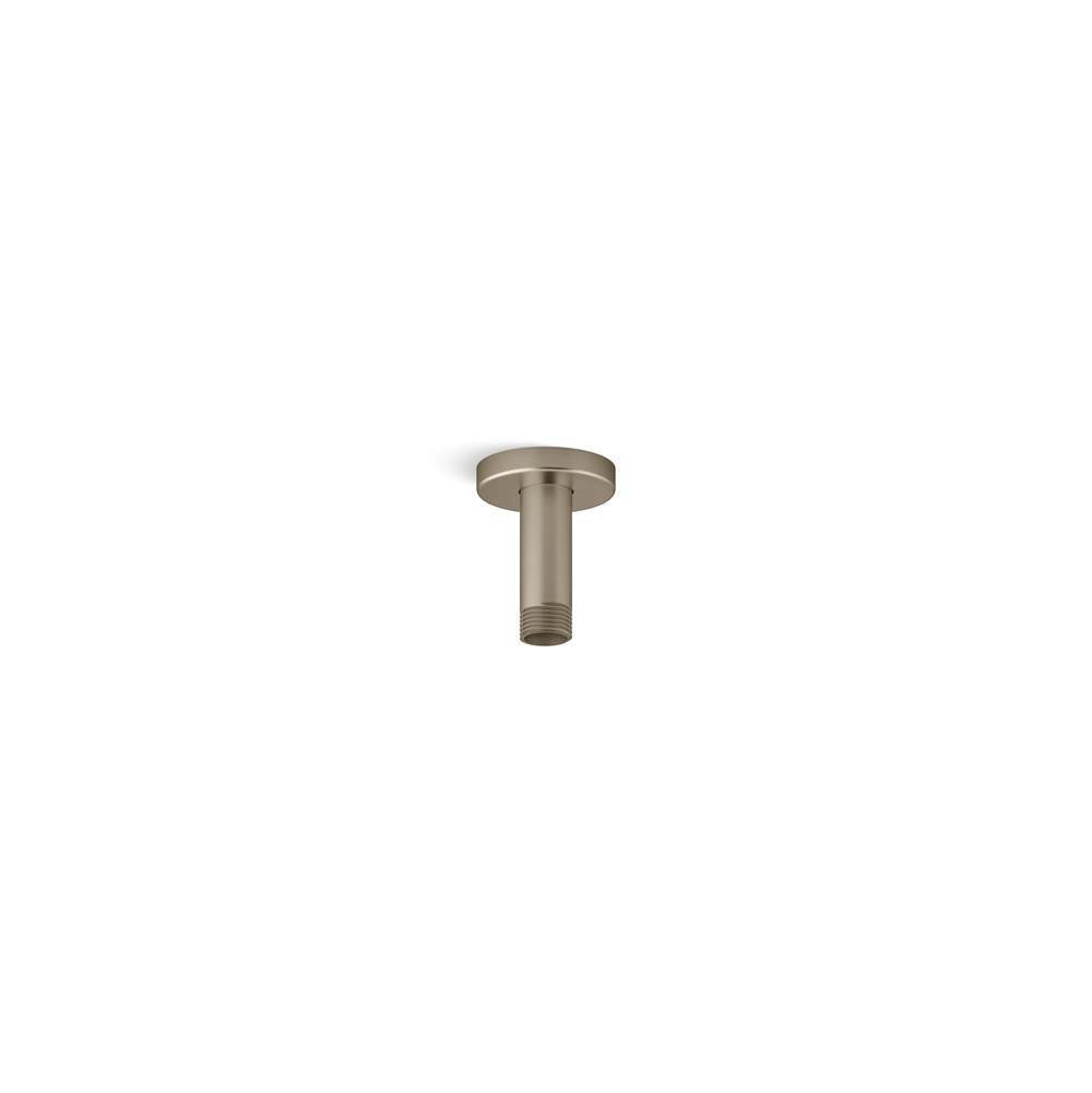 Statement 3'' ceiling-mount single-function rainhead arm and flange