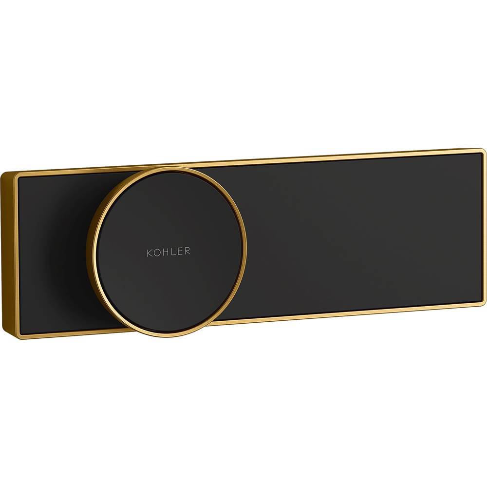 Anthem Digital control