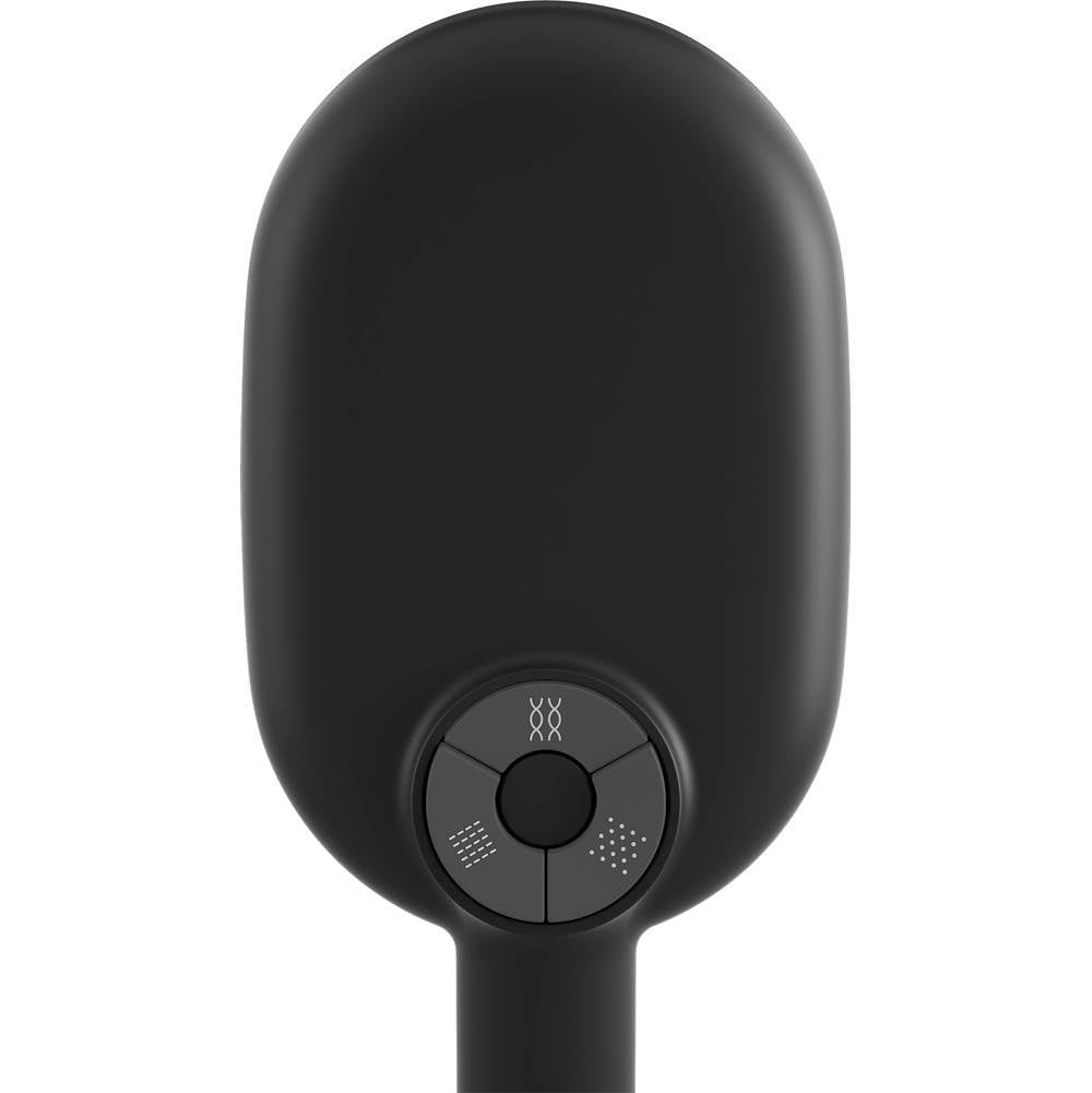 Statement Oblong three-function handshower, 2.5 gpm